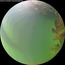 ./images/calvert/underwater/20260726/underwater20260726_204001M.jpg