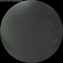 ./images/calvert/underwater/20260727/underwater20260727_052002M.jpg