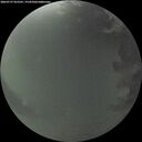 ./images/calvert/underwater/20260727/underwater20260727_052501M.jpg