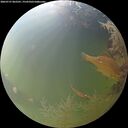 ./images/calvert/underwater/20260727/underwater20260727_062501M.jpg