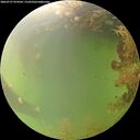 ./images/calvert/underwater/20260727/underwater20260727_074502M.jpg