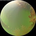 ./images/calvert/underwater/20260727/underwater20260727_085501M.jpg