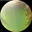 ./images/calvert/underwater/20260727/underwater20260727_094501M.jpg