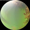 ./images/calvert/underwater/20260727/underwater20260727_101502M.jpg