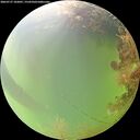 ./images/calvert/underwater/20260727/underwater20260727_102001M.jpg