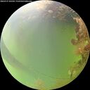 ./images/calvert/underwater/20260727/underwater20260727_102501M.jpg