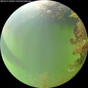 ./images/calvert/underwater/20260727/underwater20260727_105002M.jpg