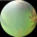 ./images/calvert/underwater/20260727/underwater20260727_110501M.jpg