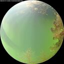 ./images/calvert/underwater/20260727/underwater20260727_111001M.jpg