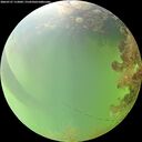./images/calvert/underwater/20260727/underwater20260727_112001M.jpg