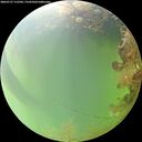 ./images/calvert/underwater/20260727/underwater20260727_112501M.jpg
