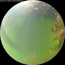 ./images/calvert/underwater/20260727/underwater20260727_114001M.jpg