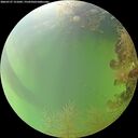./images/calvert/underwater/20260727/underwater20260727_121002M.jpg