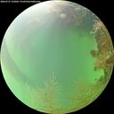 ./images/calvert/underwater/20260727/underwater20260727_123001M.jpg