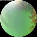 ./images/calvert/underwater/20260727/underwater20260727_123501M.jpg