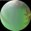 ./images/calvert/underwater/20260727/underwater20260727_130001M.jpg