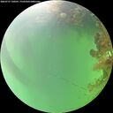 ./images/calvert/underwater/20260727/underwater20260727_130501M.jpg