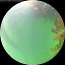 ./images/calvert/underwater/20260727/underwater20260727_131001M.jpg