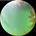 ./images/calvert/underwater/20260727/underwater20260727_140001M.jpg