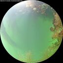 ./images/calvert/underwater/20260727/underwater20260727_141001M.jpg