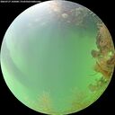 ./images/calvert/underwater/20260727/underwater20260727_142001M.jpg