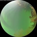 ./images/calvert/underwater/20260727/underwater20260727_145001M.jpg