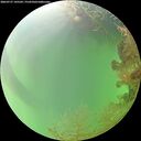 ./images/calvert/underwater/20260727/underwater20260727_145502M.jpg
