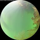 ./images/calvert/underwater/20260727/underwater20260727_150002M.jpg