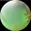 ./images/calvert/underwater/20260727/underwater20260727_150501M.jpg