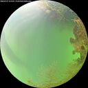 ./images/calvert/underwater/20260727/underwater20260727_151501M.jpg