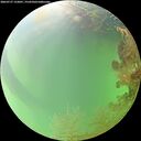 ./images/calvert/underwater/20260727/underwater20260727_152001M.jpg