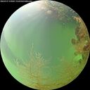 ./images/calvert/underwater/20260727/underwater20260727_153001M.jpg