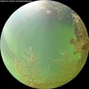 ./images/calvert/underwater/20260727/underwater20260727_153501M.jpg