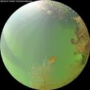./images/calvert/underwater/20260727/underwater20260727_154002M.jpg