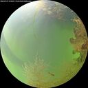 ./images/calvert/underwater/20260727/underwater20260727_155001M.jpg