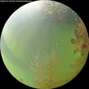 ./images/calvert/underwater/20260727/underwater20260727_155501M.jpg