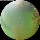 ./images/calvert/underwater/20260727/underwater20260727_160001M.jpg