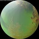 ./images/calvert/underwater/20260727/underwater20260727_161001M.jpg