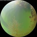 ./images/calvert/underwater/20260727/underwater20260727_162002M.jpg