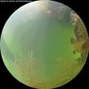 ./images/calvert/underwater/20260727/underwater20260727_162501M.jpg