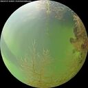 ./images/calvert/underwater/20260727/underwater20260727_163001M.jpg