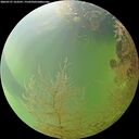 ./images/calvert/underwater/20260727/underwater20260727_163501M.jpg