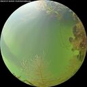 ./images/calvert/underwater/20260727/underwater20260727_164502M.jpg