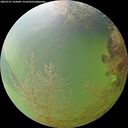 ./images/calvert/underwater/20260727/underwater20260727_165001M.jpg