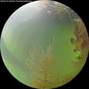 ./images/calvert/underwater/20260727/underwater20260727_165501M.jpg