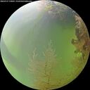 ./images/calvert/underwater/20260727/underwater20260727_170001M.jpg