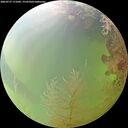 ./images/calvert/underwater/20260727/underwater20260727_171001M.jpg