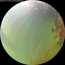 ./images/calvert/underwater/20260727/underwater20260727_171501M.jpg