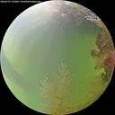./images/calvert/underwater/20260727/underwater20260727_172001M.jpg
