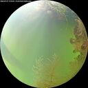 ./images/calvert/underwater/20260727/underwater20260727_173501M.jpg